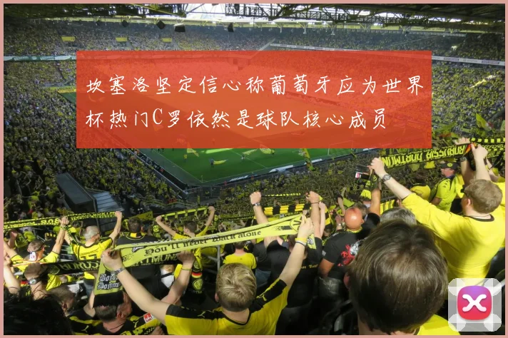 坎塞洛坚定信心称葡萄牙应为世界杯热门C罗依然是球队核心成员